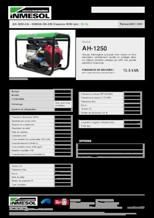 Generatoare de curent pe benzină INMESOL AH 1250-CA