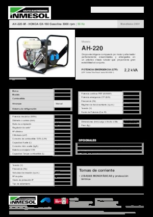 Generatoare de curent pe benzină INMESOL AH-220-M