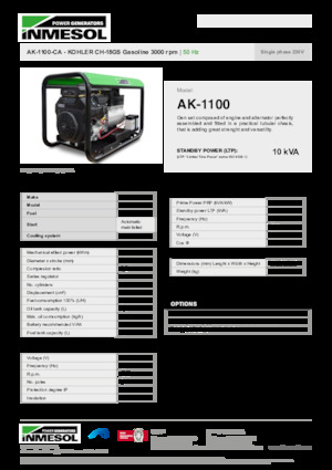 Generatoare de curent pe benzină INMESOL AK-1100-CA