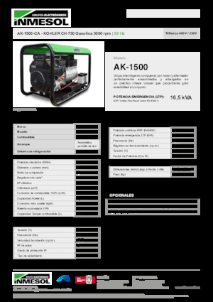 Generatoare de curent pe benzină INMESOL AK 1500-CA