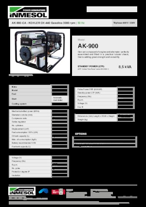 Generatoare de curent pe benzină INMESOL AK-900-CA
