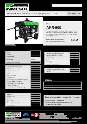 Generatoare de curent pe benzină INMESOL AKR-900-M