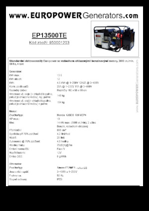 Generatoare de curent pe benzină Europower EP13500TE (S)