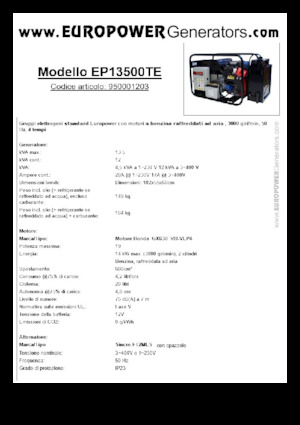 Generatoare de curent pe benzină Europower EP13500TE (S)
