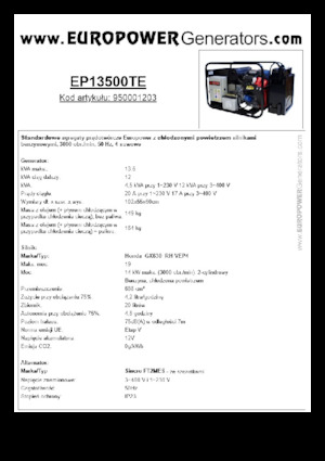 Generatoare de curent pe benzină Europower EP13500TE (S)