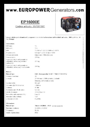 Generatoare de curent pe benzină Europower EP16000E (S)