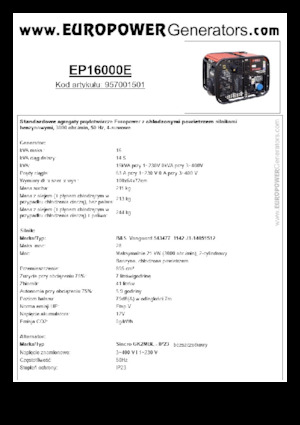 Generatoare de curent pe benzină Europower EP16000E (S)