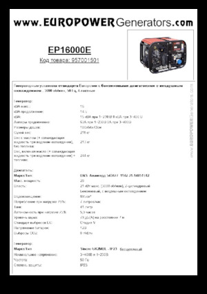 Generatoare de curent pe benzină Europower EP16000E (S)