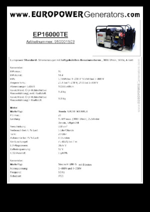 Generatoare de curent pe benzină Europower EP16000TE (S)