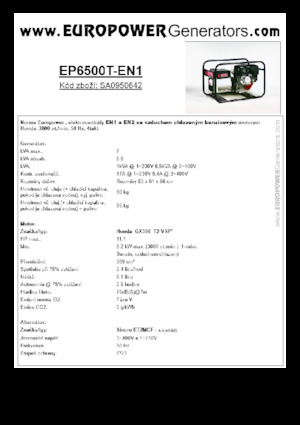 Generatoare de curent pe benzină Europower EP6500T-EN1 (S)
