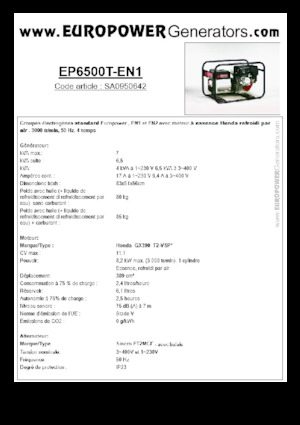 Generatoare de curent pe benzină Europower EP6500T-EN1 (S)