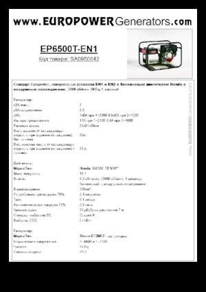 Generatoare de curent pe benzină Europower EP6500T-EN1 (S)