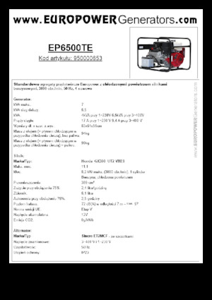 Generatoare de curent pe benzină Europower EP6500TE (S)