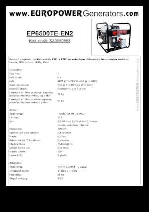 Generatoare de curent pe benzină Europower EP6500TE-EN2 (S)