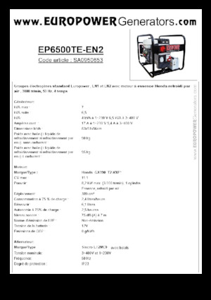 Generatoare de curent pe benzină Europower EP6500TE-EN2 (S)