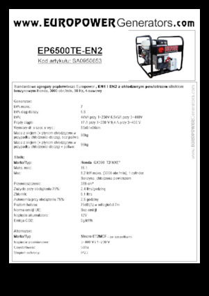 Generatoare de curent pe benzină Europower EP6500TE-EN2 (S)