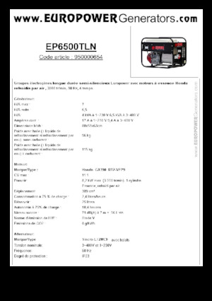 Generatoare de curent pe benzină Europower EP6500TLN (S)