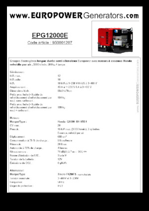 Generatoare de curent pe benzină Europower EPG12000E (S)