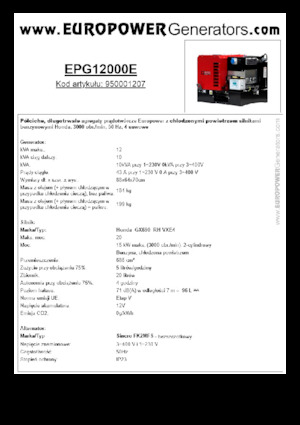 Generatoare de curent pe benzină Europower EPG12000E (S)