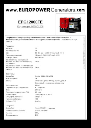 Generatoare de curent pe benzină Europower EPG12000TE (S)