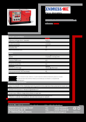 Generatoare de curent pe benzină Endress ESE 908 DBG ES ISO Duplex Silent