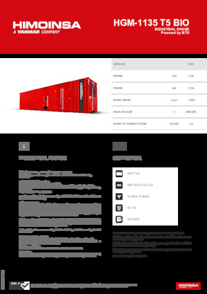 Generatoare de curent pe benzină HIMOINSA HGM-1135 T5 BIO