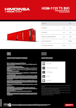 Generatoare de curent pe benzină HIMOINSA HGM-1135 T5 BIO