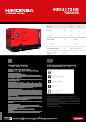 Generatoare de curent pe benzină HIMOINSA HGO-25 T5 NG