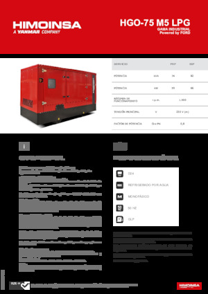 Generatoare de curent pe benzină HIMOINSA HGO-75 M5 LPG