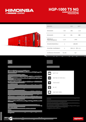 Generatoare de curent pe benzină HIMOINSA HGP-1000 T5 NG