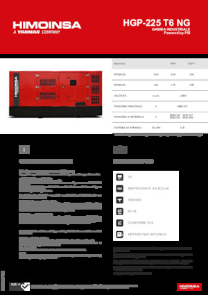 Generatoare de curent pe benzină HIMOINSA HGP-225 T6 NG