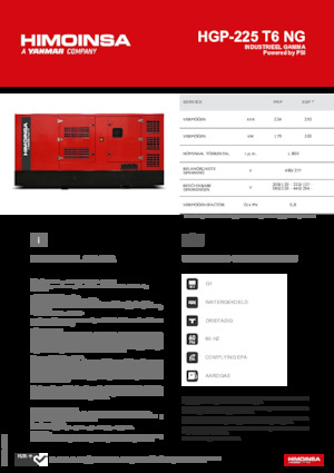 Generatoare de curent pe benzină HIMOINSA HGP-225 T6 NG