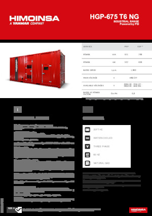 Generatoare de curent pe benzină HIMOINSA HGP-675 T6 NG