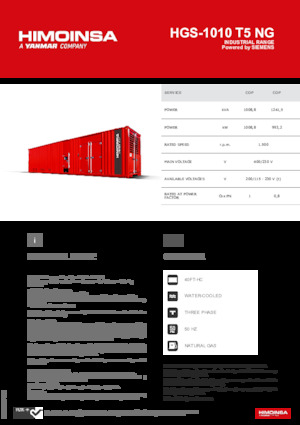 Generatoare de curent pe benzină HIMOINSA HGS-1010 T5 NG