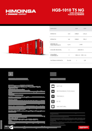 Generatoare de curent pe benzină HIMOINSA HGS-1010 T5 NG