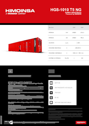 Generatoare de curent pe benzină HIMOINSA HGS-1010 T5 NG