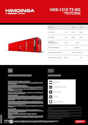 Generatoare de curent pe benzină HIMOINSA HGS-1210 T5 NG