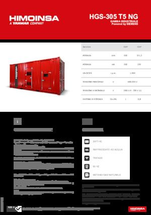 Generatoare de curent pe benzină HIMOINSA HGS-305 T5 NG