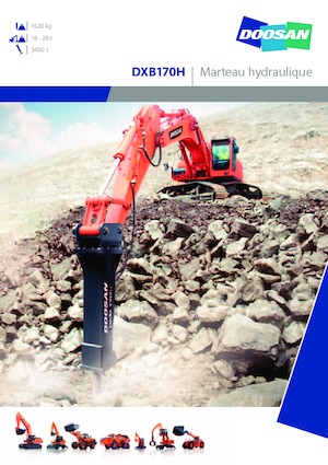 Ciocane hidraulice Doosan DXB170H