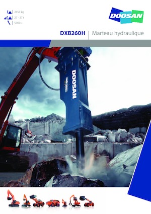 Ciocane hidraulice Doosan DXB260H