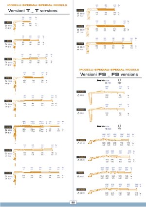 Macarale hidraulice de încărcare COPMA 2000 110 T 3