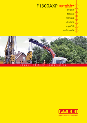Macarale hidraulice de încărcare Fassi F 1300 AXP 24
