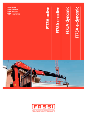 Macarale hidraulice de încărcare Fassi F 175 A 2.23 e-dynamic