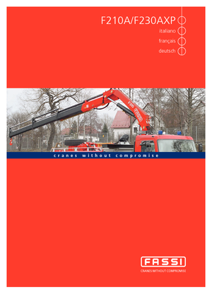 Macarale hidraulice de încărcare Fassi F 210 A 24