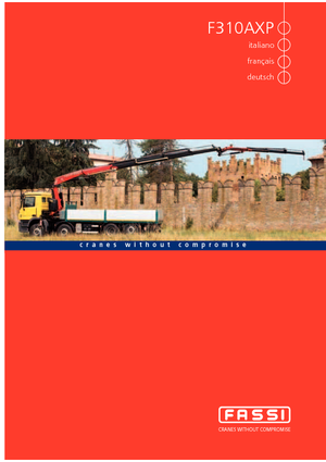 Macarale hidraulice de încărcare Fassi F 310 AXP 22