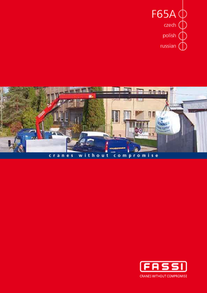 Macarale hidraulice de încărcare Fassi F 65 A 21