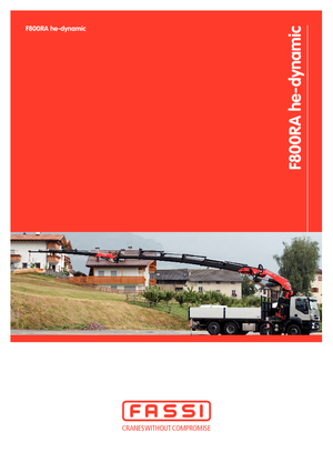 Macarale hidraulice de încărcare Fassi F 800 RA 2.28 he-dynamic