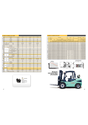 Stivuitoare frontale LPG Maximal FL 50 T-M1WE3