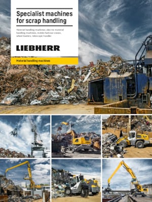 Stivuitoare Liebherr LH 26 P Industry Litronic
