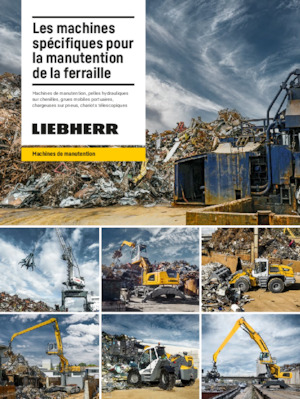 Stivuitoare Liebherr LH 26 P Industry Litronic